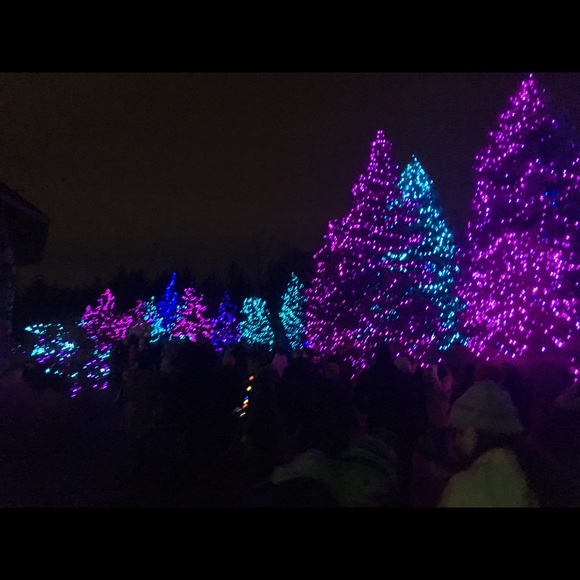 Meet your Posher, Sam - Picture 1 of 1